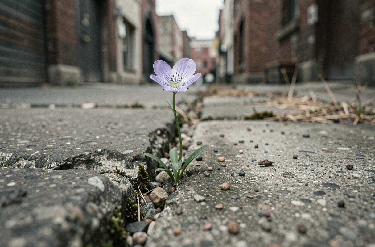 Fleur sauvage violette poussant à travers une fissure dans le béton urbain, symbole de persévérance et de vie qui triomphe