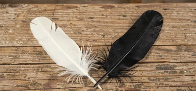 Plume blanche et noire : découvrez la signification profonde de leur harmonie opposée