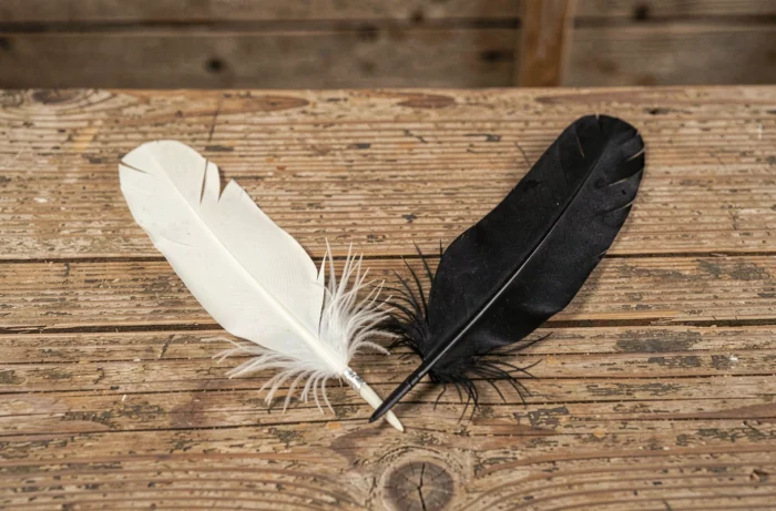 Plume blanche et plume noire posées côte à côte sur une table en bois, symbolisant l'harmonie des opposés