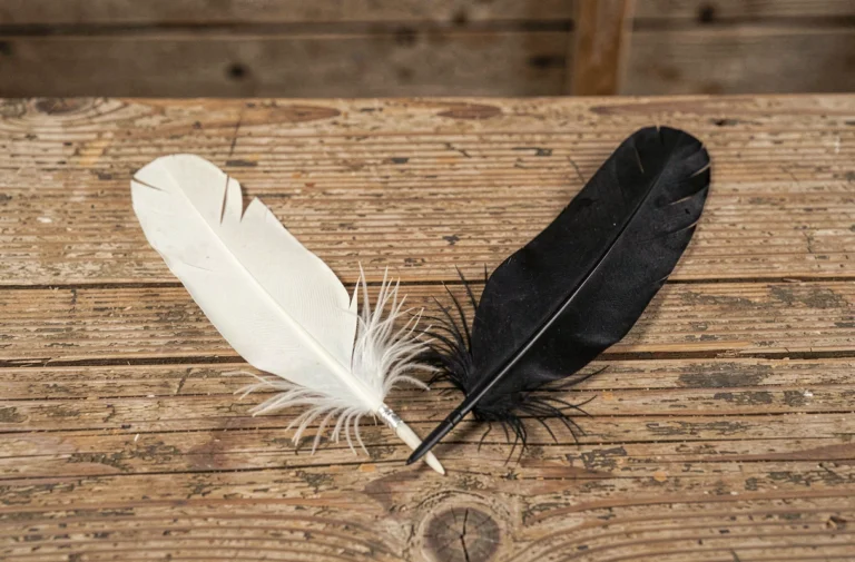 Plume blanche et plume noire posées côte à côte sur une table en bois, symbolisant l'harmonie des opposés